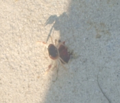 Cancun06 34